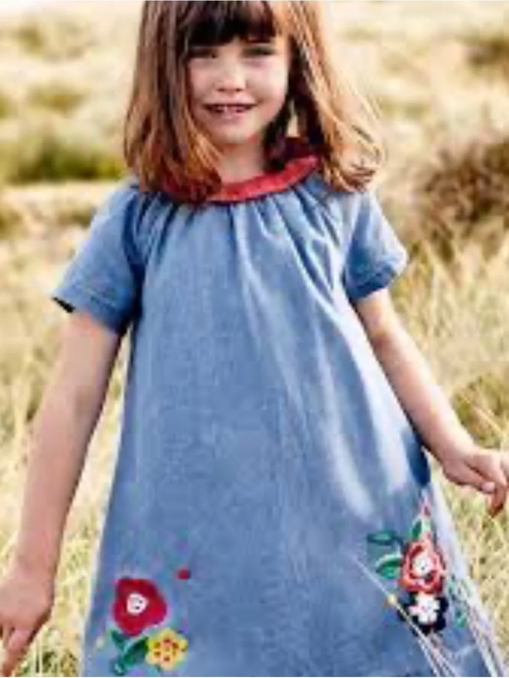 Mini Boden Girls' Blue Floral Appliqué Dress with Red Collar size 8